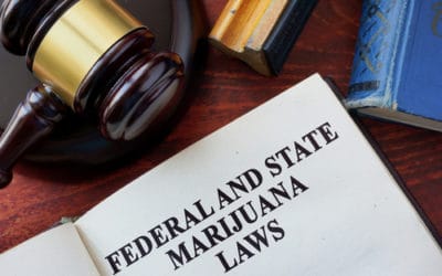The Importance of a Cannabis License