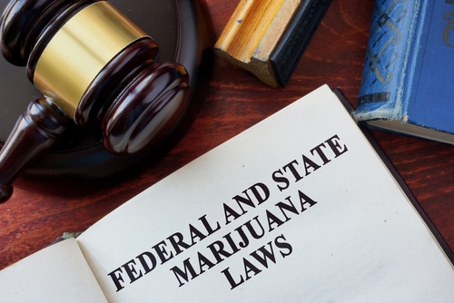 The Importance of a Cannabis License