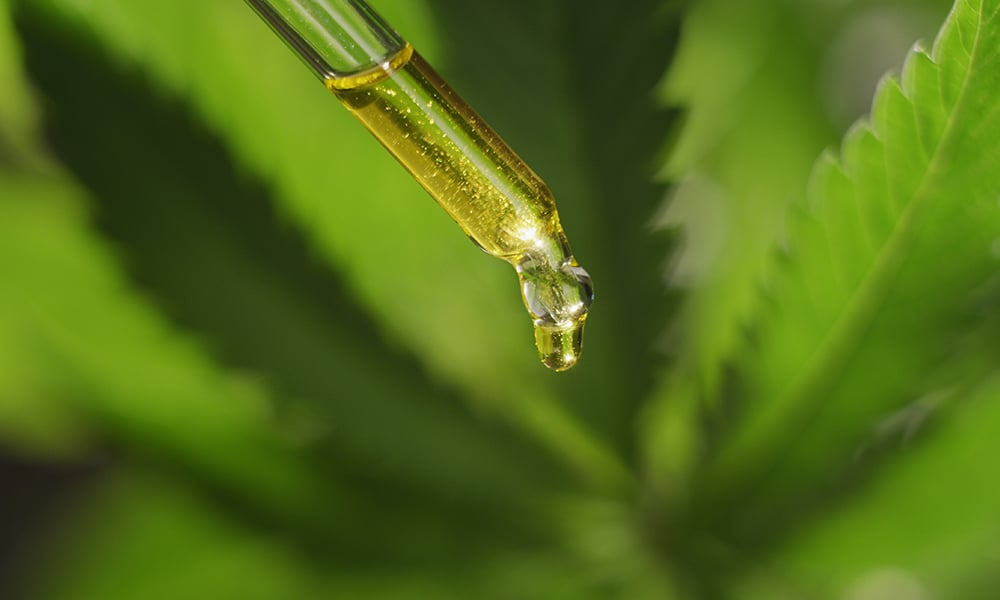 Microdosing Cannabis Steps for Success