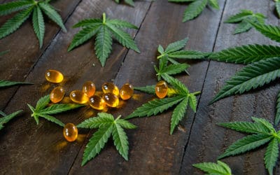 Cannabis For Fibromyalgia Does It Help?