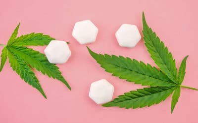 Average Edible Dose For Beginners